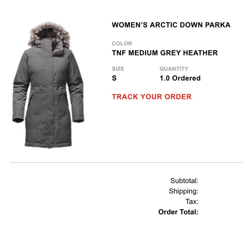 North face down parka
